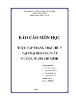 BÁO cáo môn học THỰC tập TRANG TRẠI THÚ y tại TRẠI HEO GIA PHÁT củ CHI, TP  hồ CHÍ MINH 