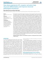 how does angiotensin at2 receptor activation help neuronal differentiation and improve neuronal pathological situations 
