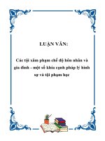 Các tội xâm phạm chế độ hôn nhân và gia đình   một số khía cạnh pháp lý hình sự vàg tội phạm học 