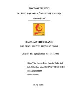 BÁO cáo THỰC HÀNH học PHẦN TRUYỀN THÔNG số FE6041 chủ đề thí nghiệm trên KIT MT 3000 