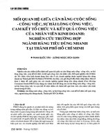 Mối quan hệ giữa cân bằng cuộc sống   công việc, sự hài lòng công việc, cam kết tổ chức và kết quả công việc của nhân viên kinh doanh nghiên cứu trường hợp ngành hàng tiêu dùng nhanh tại thành phố hồ chí minh 