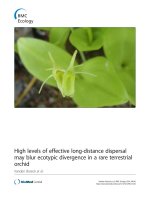 high levels of effective long distance dispersal may blur ecotypic divergence in a rare terrestrial orchid 