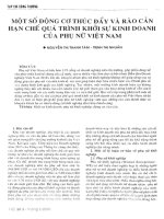 Một số động cơ thúc đẩy và rào càn hạn chế quá trình khởi sự kinh doanh của phụ nữ việt nam 
