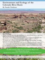 cbb78858-d078-4a7c-ba80-2040569abbdd