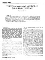 Thực trạng lao động việc làm nông thôn việt nam 