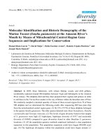 molecular identification and historic demography of the marine tucuxi sotalia guianensis at the amazon river s mouth by means of mitochondrial control region gene sequences and implications for conservation 