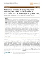multi omics approach to study the growth efficiency and amino acid metabolism in lactococcus lactis at various specific growth rates 