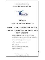 BÁO cáo THỰC tập DOANH NGHIỆP THỰC tập DOANH NGHIỆP tại CÔNG TY TNHH THƯƠNG mại DỊCH vụ điện nước KIM HÙNG 