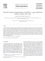 molecular cloning and characterization of ghwrky11 a gene implicated in pathogen responses from cotton 
