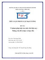 TIỂU LUẬN PHÁP LUẬT đại CƯƠNG đề tài vi phạm pháp luật của sinh viên hiện nay những vấn đề lý luận và thực tiễn 