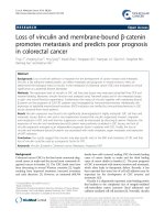 loss of vinculin and membrane bound catenin promotes metastasis and predicts poor prognosis in colorectal cancer 