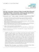 entropy generation analysis of open parallel microchannels embedded within a permeable continuous moving surface application to magnetohydrodynamics mhd 
