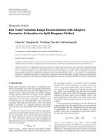 fast total variation image deconvolution with adaptive parameter estimation via split bregman method 