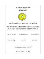 TÍNH THỐNG NHẤT TRONG đa DẠNG của văn hóa TRUYỀN THỐNG ĐÔNG NAM á 