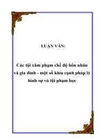 Các tội xâm phạm chế độ hôn nhân và gia đình   một số khía cạnh pháp lý hình sự và tội phạm học 