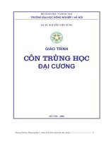 giáo trình côn trùng đại cương