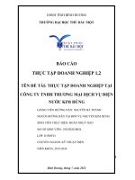 BÁO cáo THỰC tập DOANH NGHIỆP THỰC tập DOANH NGHIỆP tại CÔNG TY TNHH THƯƠNG mại DỊCH vụ điện nước KIM HÙNG 