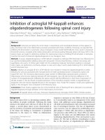 inhibition of astroglial nf kappab enhances oligodendrogenesis following spinal cord injury 