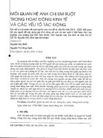 Mối quan hệ anh chị em ruột trong hoạt động kinh tế và các yếu tố tác động 