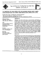 Vai trò phụ nữ cộng đồng dân tộc khmer trong phát triển kinh tế hộ ở khu vực nông thôn đồng bằng sông cửu long 