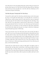 Phân tích chiến lược quản trị thương hiệu của the coffee house 