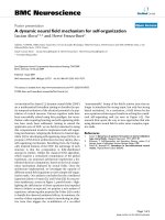 a dynamic neural field mechanism for self organization 