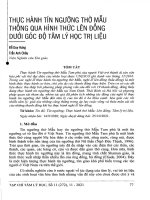 Thực hành tín ngưỡng thờ mẫu thông qua hình thức lên đồng dưới góc độ tâm lý học trị liệu 