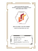 BÁO cáo THỰC tập CHUYÊN NGÀNH NGÔN NGỮ ANH INTERNSHIP REPORT in van an phat real estate joint stock company