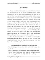 Hoàn thiện quản trị kênh phân phối thức ăn gia súc tại công ty TNHH xuất nhập khẩu phương đông f 