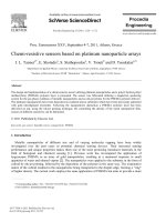 chemi resistive sensors based on platinum nanoparticle arrays 