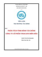 Khái quát chung về cây cà phê và ngành sản xuất cà phê ở việt nam 