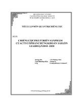 Mẫu tiểu luận chiến lược phát triển sản phẩm của công ty cổ phần chứng khoán sài gòn (SSI) 