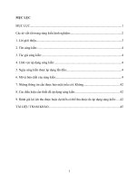 (SKKN HAY NHẤT) tích hợp kiến thức liên môn khi dạy bài  “phú sông bạch đằng” (trương hán siêu) 