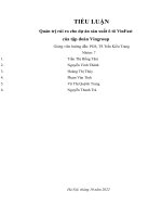 TIỂU LUẬN quản trị rủi ro cho dự án sản xuất ô tô vinfast của tập đoàn vingroup 