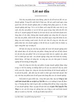 Hoạt động kinh doanh của công ty sản xuất kinh doanh đầu tư và dịch vụ việt hà 