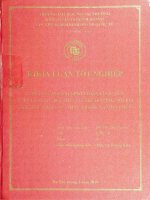 Công tác hoạch định chiến lược của tổng công ty cổ phần may việt tiến tại thị trường nội địa khu vực phía bắc  thực trạng và giải pháp 
