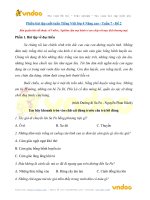 phieu bai tap cuoi tuan tieng viet lop 4 nang cao tuan 8 de 2 