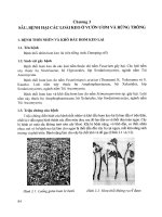 Quản lý sâu bệnh hại cây bạch đàn và keo: Phần 2