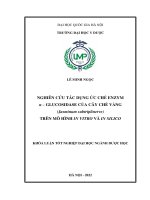 Khóa luận tốt nghiệp: Nghiên cứu tác dụng ức chế enzym αglucosidase của cây Chè vằng (Jasminum subtriplinerve) trên mô hình in vitro và in silico