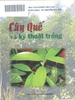 Nghiên cứu kỹ thuật trồng cây quế: Phần 1