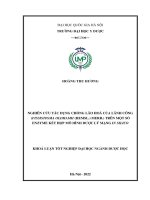 Khóa luận tốt nghiệp: Nghiên cứu tác dụng chống lão hoá của Lãnh công (Fissistigma oldhamii (Hemsl.) Merr.) trên một số enzyme kết hợp mô hình dược lý mạng in silico