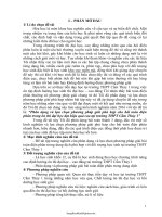 SKKN Phân dạng và lựa chọn phương pháp giải phù hợp cho bài toán điện phân trong ôn thi đại học đạt...