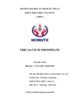 Tiểu luận cuối kì Môn học VẬT LIỆU CERAMIC TRICALCIUM PHOSPHATE