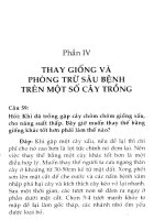 Hỏi - đáp các câu hỏi thường gặp trong sản xuất nông nghiệp: Phần 2