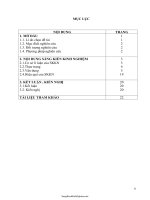 SKKN Tích hợp kiến thức liên môn trong giảng dạy bài 25: Tình hình chính trị, kinh tế, văn hóa dưới...