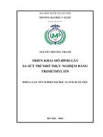 Khóa luận tốt nghiệp: Triển khai mô hình gây sa sút trí nhớ thực nghiệm bằng trimethyltin