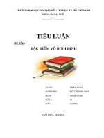 Tiểu luận cơ sở văn hoá việt nam   đặc điểm võ bình định