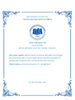 NHỮNG NHÂN TỐ ẢNH HƯỞNG ĐẾN QUYẾT ĐỊNH MUA MỸ PHẨM TRỰC TUYẾN TRÊN TRANG THƯƠNG MẠI ĐIỆN TỬ SHOPEE ĐỐI VỚI SINH VIÊN TẠI THÀNH PHỐ HỒ CHÍ MINH