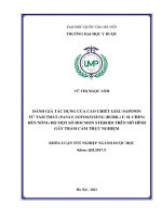 Khóa luận tốt nghiệp: Đánh giá tác dụng của cao chiết giàu Saponin từ tam thất (Panax Notoginseng (Burk.) F. H. Chen) đến nồng độ một số Hocmon Steroid trên mô hình gây trầm cảm