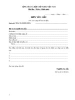 Mẫu Đơn yêu cầu sao chụp tài liệu, hồ sơ